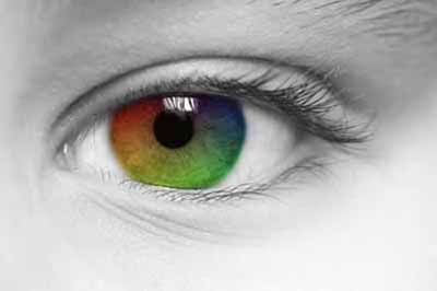 Eye